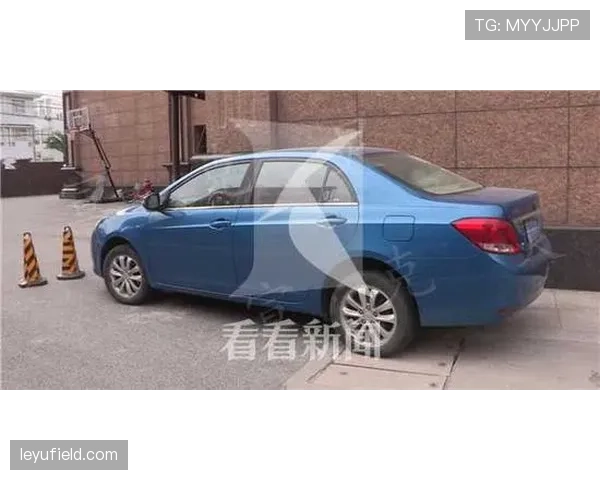 刷到李小鹏家车库那排车，瞬间怀疑人生